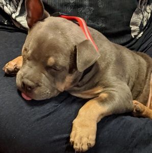 Meet your Posher, Cool j